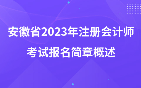 安徽省2023年注册会计师考试报名简章概述