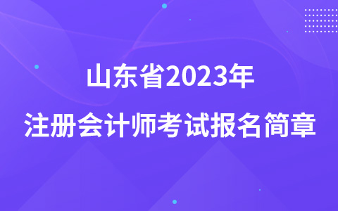 山东省2023年注册会计师考试报名简章