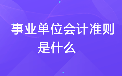 事业单位会计准则是什么