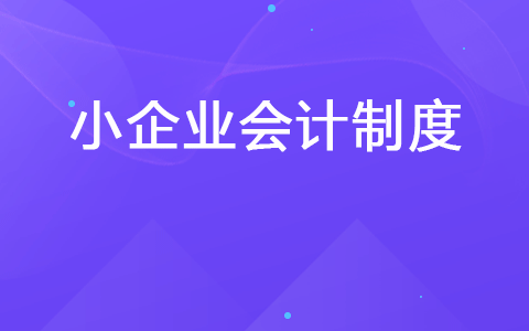 小企业会计制度