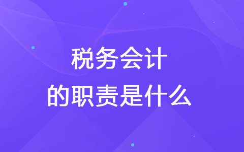税务会计的职责是什么