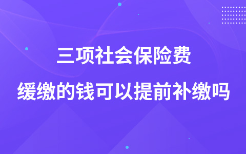 三项社会保险费缓缴的钱可以提前补缴吗