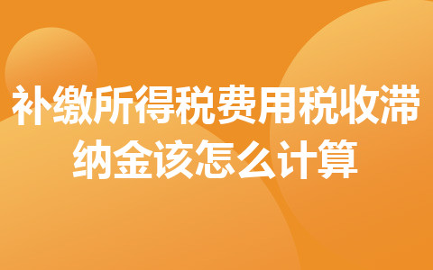 补缴所得税费用税收滞纳金该怎么计算