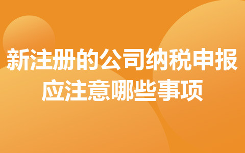 新注册的公司纳税申报应注意哪些事项