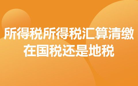 所得税所得税汇算清缴在国税还是地税