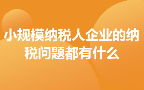 小规模纳税人企业的纳税问题都有什么