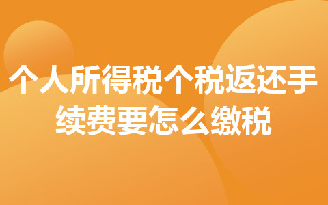 个人所得税个税返还手续费要怎么缴税