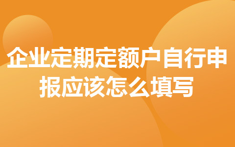 企业定期定额户自行申报应该怎么填写